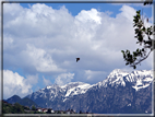 foto Lago di Caldonazzo